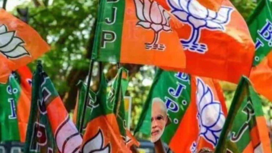 BJP Releases First List Of 66 Candidates For Jharkhand Assembly Polls