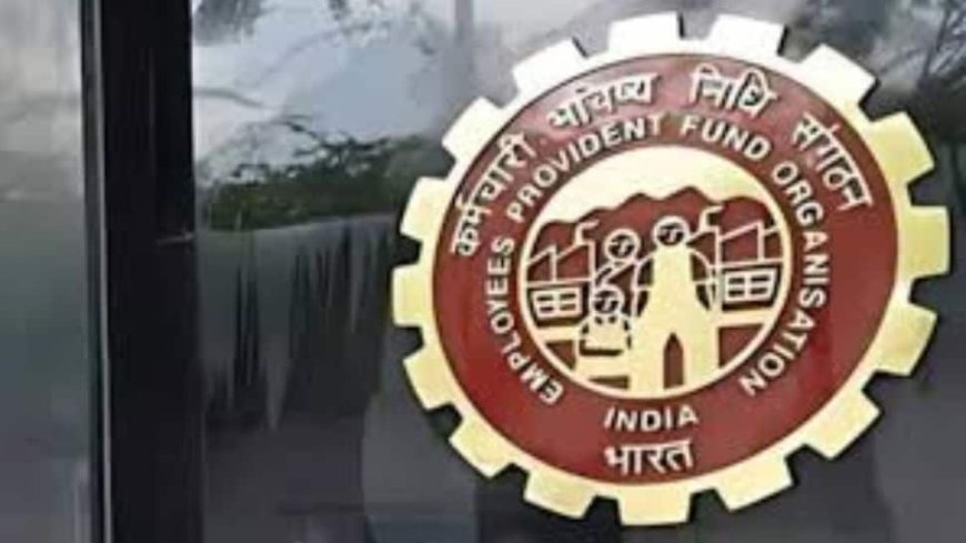 EPFO Adds 18.53 Lakh Net Members in August 2024, Youth Aged 18-25 Make Up 59 Per Cent Of New Joiners