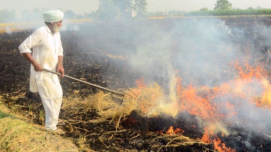 `Mere Eyewash`: On Stubble Burning, Air Pollution, Supreme Court Raps Punjab, Haryana, Centre