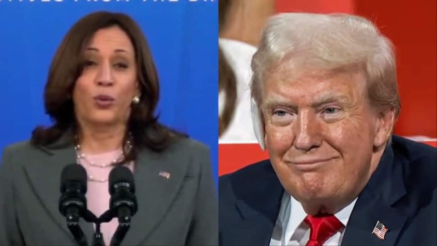 'Trump Wanted Generals Like Adolf Hitler': Harris Mounts Attack, Dubs Ex-US Prez 'Unfit'