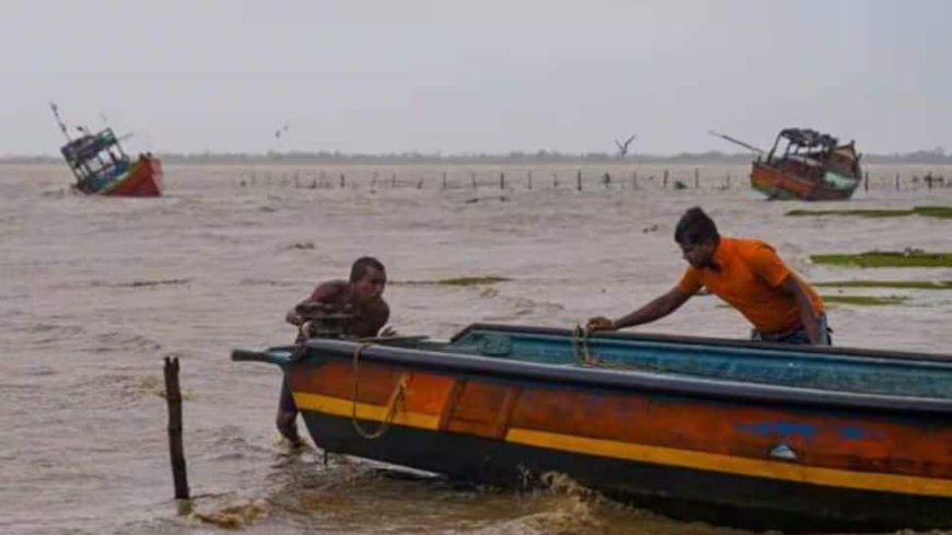 Cyclone Dana: 28 Hospitalised Due To Snakebites In Odisha