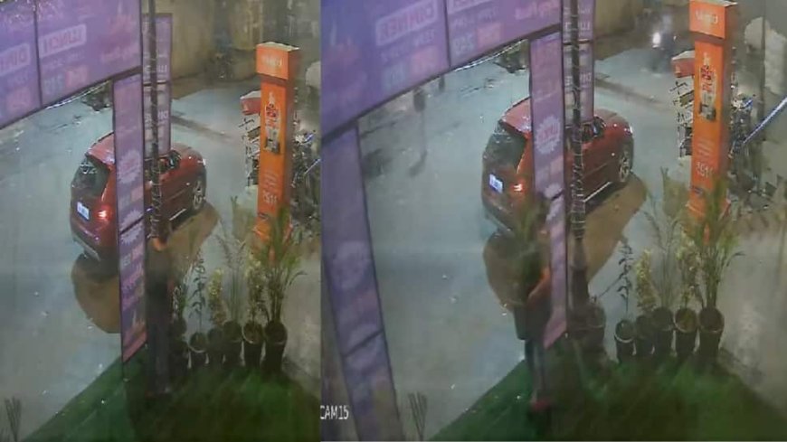 Flower Pot Theft In Noida Sector-18: Video Of BMW Owner Woman’s Act Goes Viral