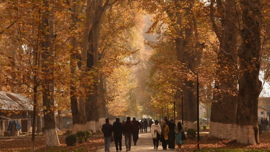 Amid Terror Attacks, Kashmir’s Autumn Beauty Draws Thousands Of Tourists Daily