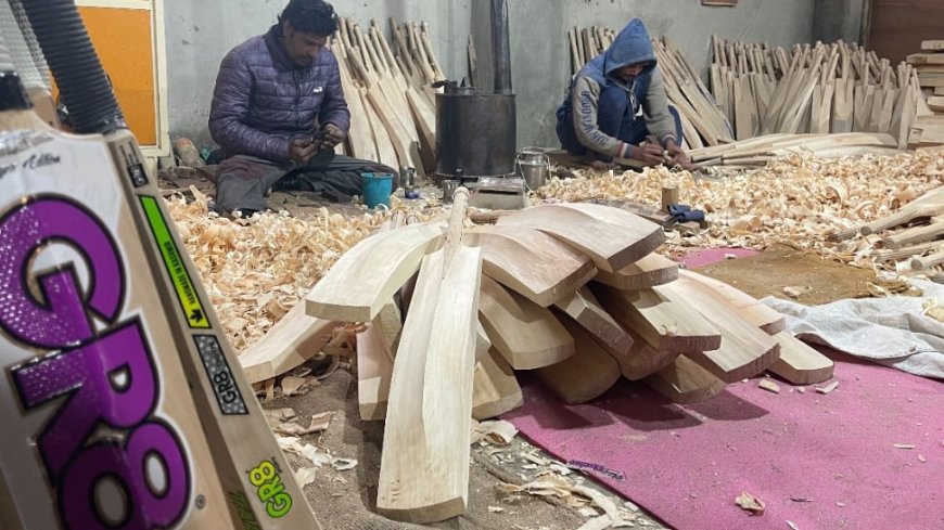 Kashmir Willow Bats Declared Handicraft, Set To Rival English Willow