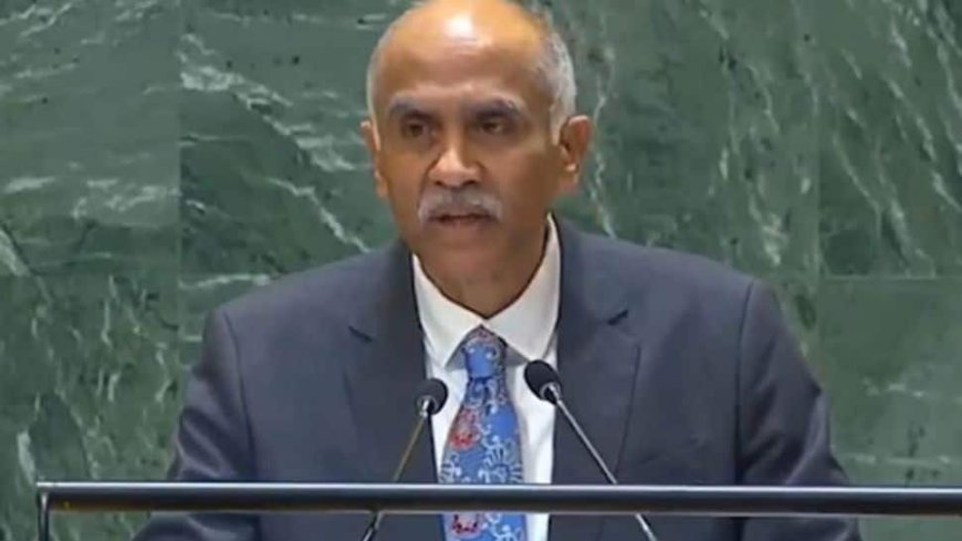 `Ready To  Do More  For Palestinians People`: India At UN On Middle East Situation