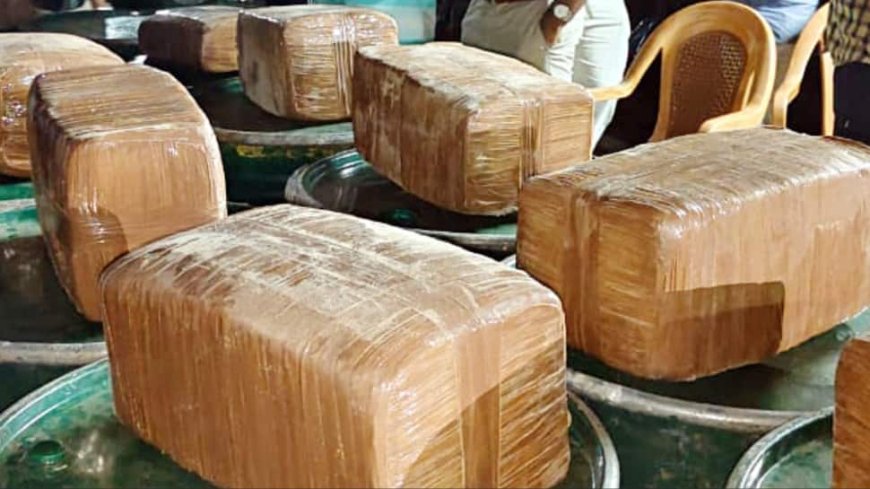 Delhi: Cops Seize Over 700 Kg Of `Ganja` From Truck, 1 Arrested