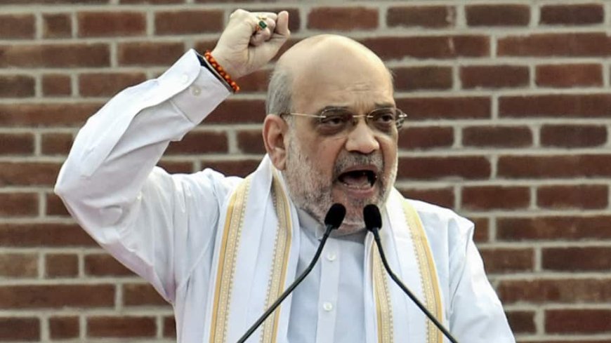 ‘Luring Our Daughters...’: Amit Shah Attacks Hemant Soren At Jharkhand BJP Manifesto Launch