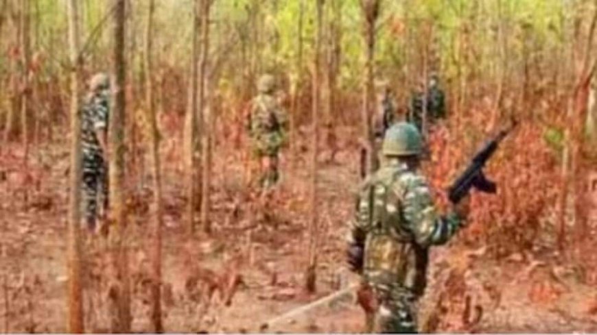 Chhattisgarh: Two Cops Injured In Naxal Attack In Sukma