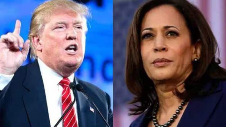 US Presidential Polls: What Are Swing States? What Will Happen If Kamala Harris, Donald Trump Get Equal Votes?