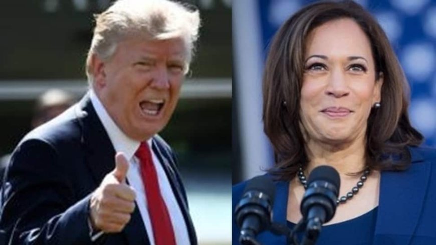 US Election 2024: Where Do Harris And Trump Stand On America’s Most Pressing Issues?