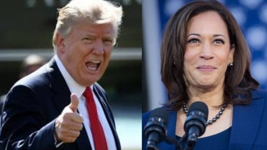 Shift In Allegiances: Trump’s Unexpected Appeal And Harris’s Dwindling Prospects