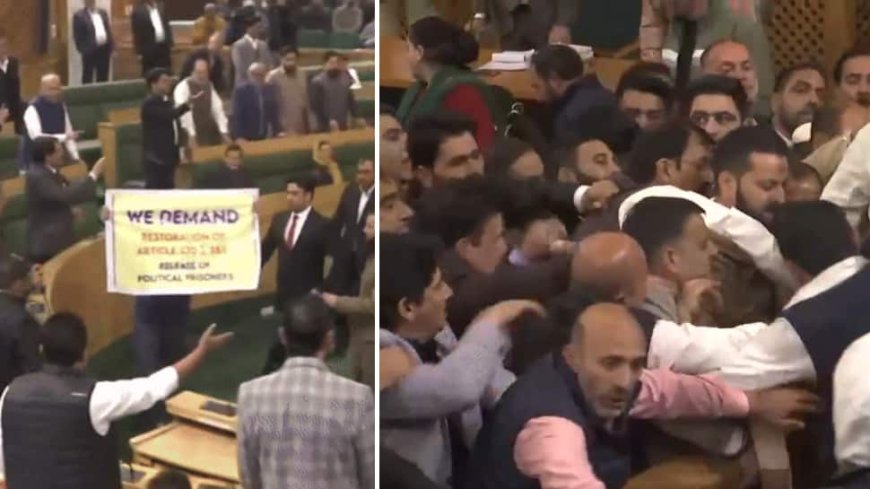 Brawl In J&K Assembly As Special Status Resolution Sparks Violent Protest