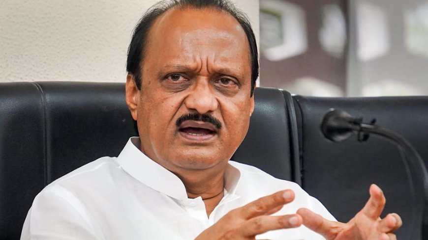 Opposition `Bluffing` By Assuring Rs 3,000 Monthly Aid To Women: Ajit Pawar