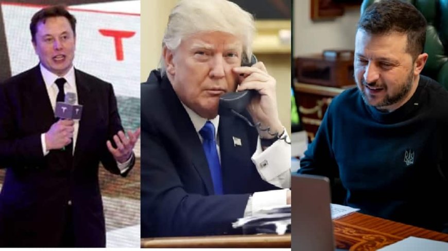 Elon Musk To Be Part Of Donald Trump Administration? Con-Call With Zelenskyy Sparks Speculations