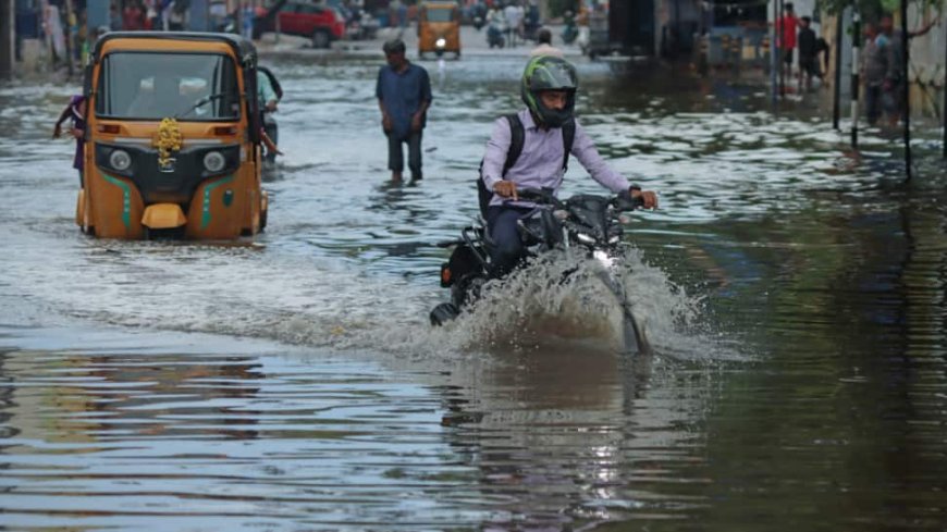 Chennai Rains: School Closed Today Amid Heavy Rainfall, IMD Issues Yellow Alert For 16  Tamil Nadu Districts