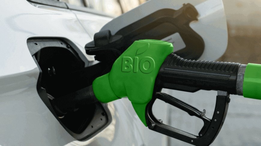 Japan To Push For Biofuel-Compatible New Cars By 2030s