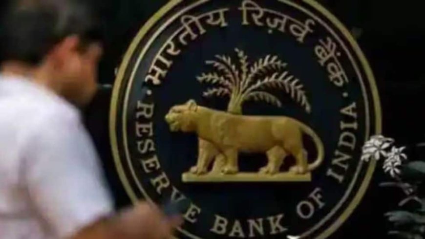 Digital Transfers Of Funds For Public Services Up 56% In 2024: RBI Deputy Guv