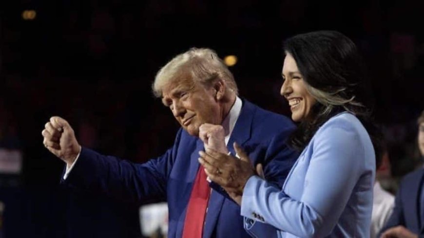 Who Is Tulsi Gabbard? Know All About First Hindu Congresswoman Appointed As Intelligence Director Under Trump's Administration