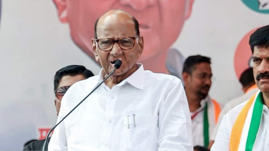 Sharad Pawar Slams Mahayuti Govt For Rise In Crimes Against Women; Attacks Fadnavis