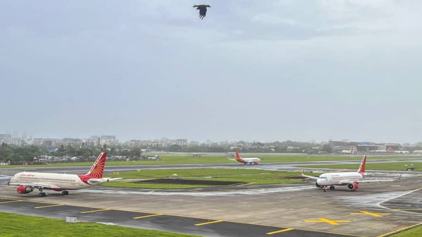 Mumbai Airport's Total Passenger Traffic Rises 4% In October 2024