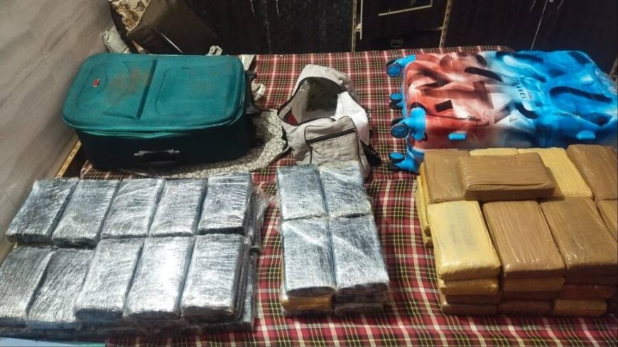 NCB Foils Drug Peddlers Attempt Delhi `Udta Punjab`, Cocaine Worth Rs 900 Crore Seized