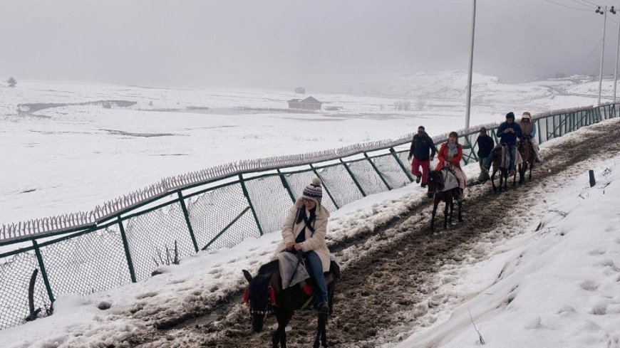 As Kashmir`s Border Areas See Fresh Snowfall, Met Dept Warns of Cold Weather In Coming Days