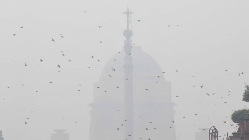 Delhi Air Pollution: AQI Reaches `Severe Plus` Level, GRAP-IV Implemented, Primary Schools Closed