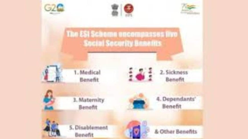 20.6 Lakh New Workers Enrolled Under ESI Scheme In September