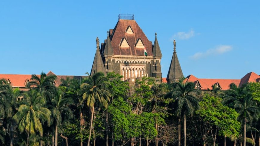 ‘Illegal Approach To Fulfill Parenthood...’: Bombay HC Grants Bail To Lesbian Couple In Kidnapping Case