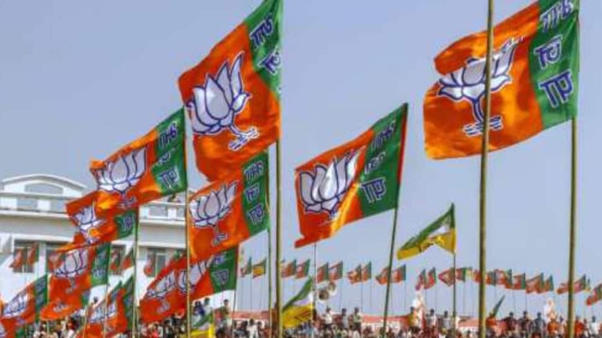 Maharashtra Polls: 15 Mahayuti Candidates In 1-Lakh Victory Margin Club; BJP Leads With 8