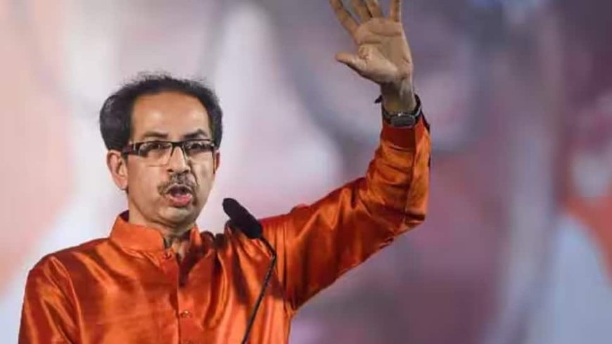 Not A Wave, But A Tsunami: Uddhav Thackeray On Maharashtra Results