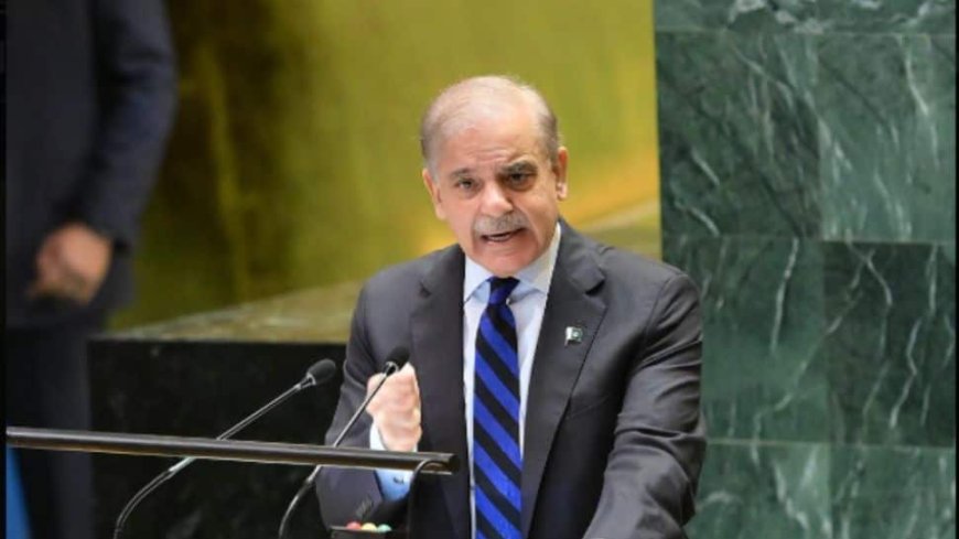 Pakistan PM Shehbaz Sharif Condemns Attack On Rangers, Police Personnel By Protesters