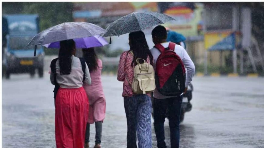 7 NDRF Teams Deployed As IMD Predicts Heavy Rain In Tamil Nadu, Puducherry; Schools, Colleges Closed