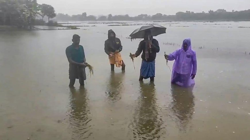 Cyclone Fengal Updates: IMD Predicts Extreme Rain  In Tamil Nadu, Schools Closed In Puducherry| Key Highlights