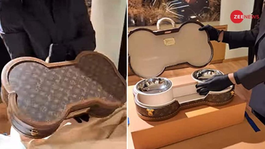 Indian-Origin CEO Buys Louis Vuitton Suitcase For Dog Worth Rs 14 Lakh; Netizens Not Taking It Warmly