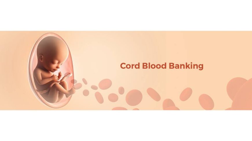 Cord Blood Banking: Understanding How It Works And Why It`s Important