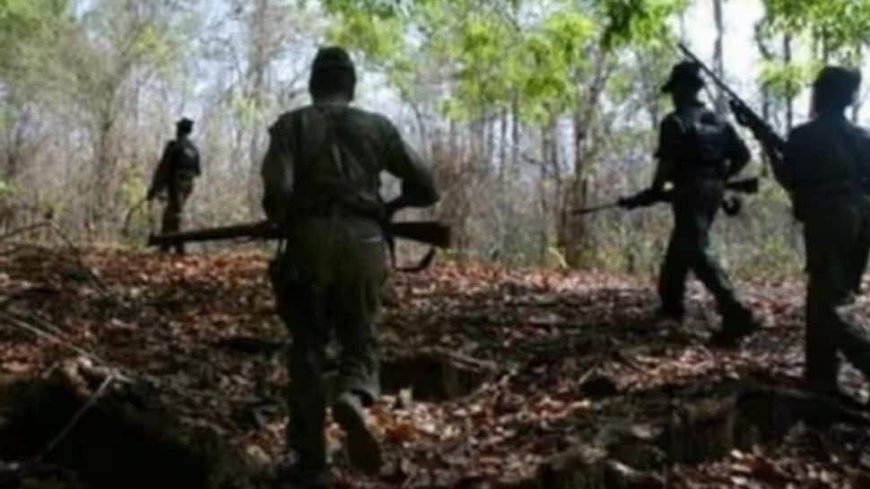 Telangana Encounter: Seven Maoists Killed In Gunfight With Police In Mulugu