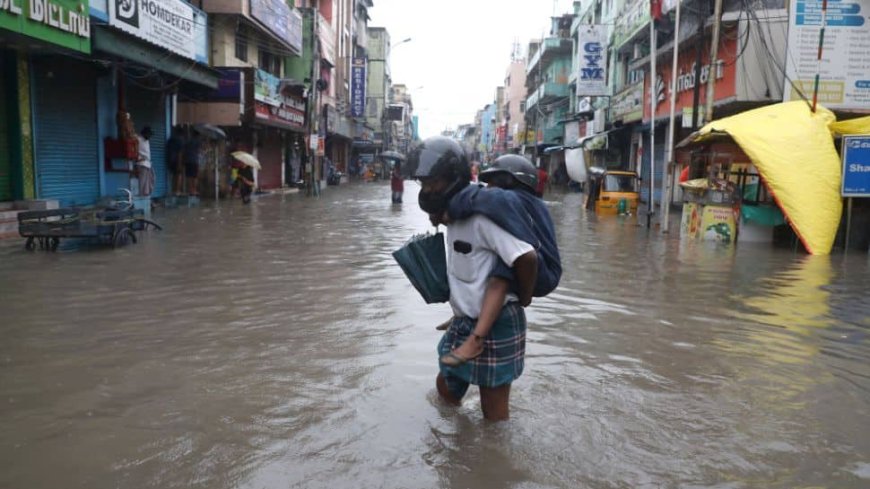 Kerala, Tamil Nadu Government Declares Holiday For Schools, Colleges In These Districts; IMD Alert For Rainfall