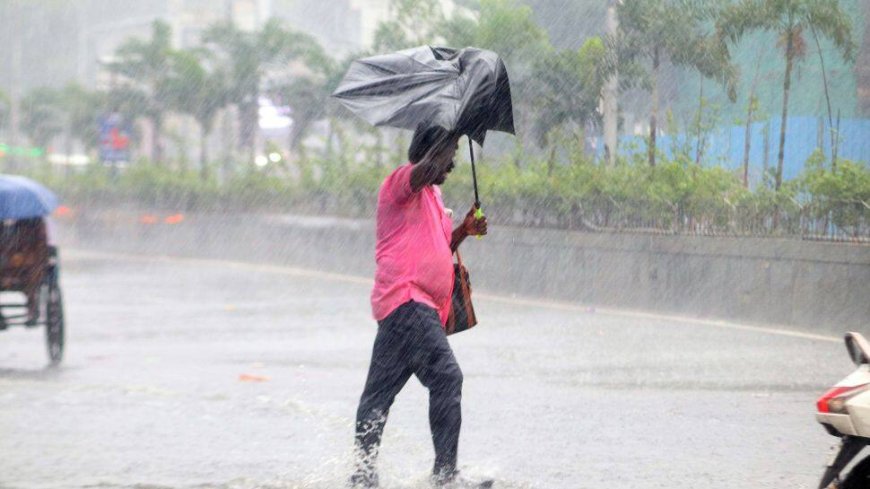 Cyclone Fengal: Schools Closed In THESE Andhra Pradesh Districts Due To Heavy Rain - Check