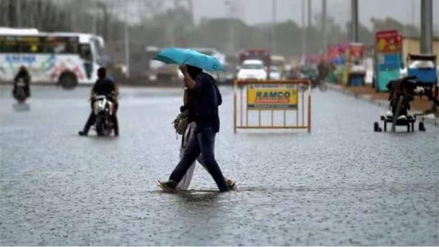 Weather Update: IMD Issues Red Alert For Northern Kerala Due To Cyclone Fengal; Schools Closed In These Districts Amid Heavy Rainfall Warning