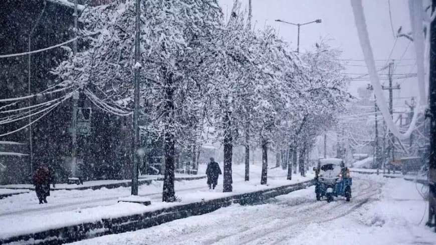 Kashmir Weather Update: IMD Predicts Harsh Winter With Heavy Snowfall And Rainfall Due To La Niña Effect