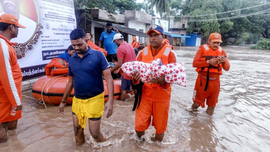 Tamil Nadu School Holiday: Schools, Colleges Closed In THESE Districts Due To Cyclone Fengal