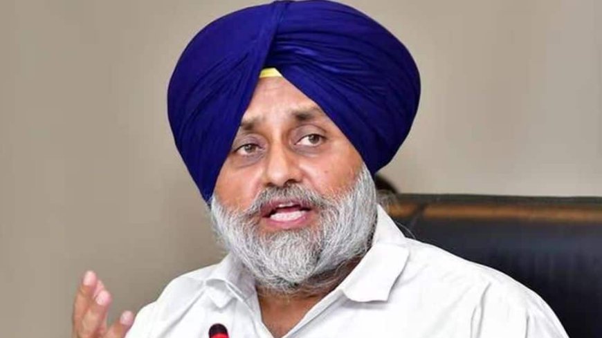 Sukhbir Badal Attacked: Man Opens Fire At SAD Leader At Golden Temple In Amritsar