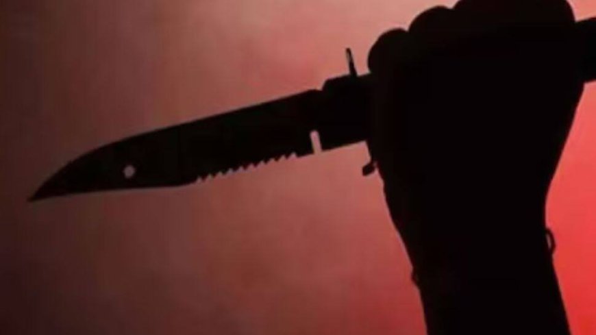 Three Family Members Stabbed To Death In Delhi`s Neb Sarai