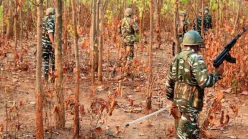 Chhattisgarh: DRG Head Constable Dies During Encounter With Naxalites In Narayanpur