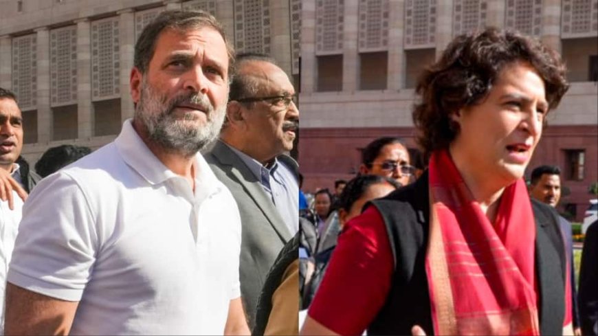 Rahul, Priyanka Join In As INDIA Bloc Leaders Continue Protest Over Adani Issue, JPC Probe Demand — WATCH