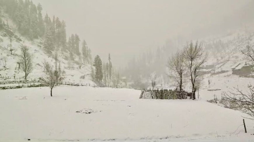 Kashmir Receives Fresh Snowfall, IMD Predicts Two Days of Wet Weather