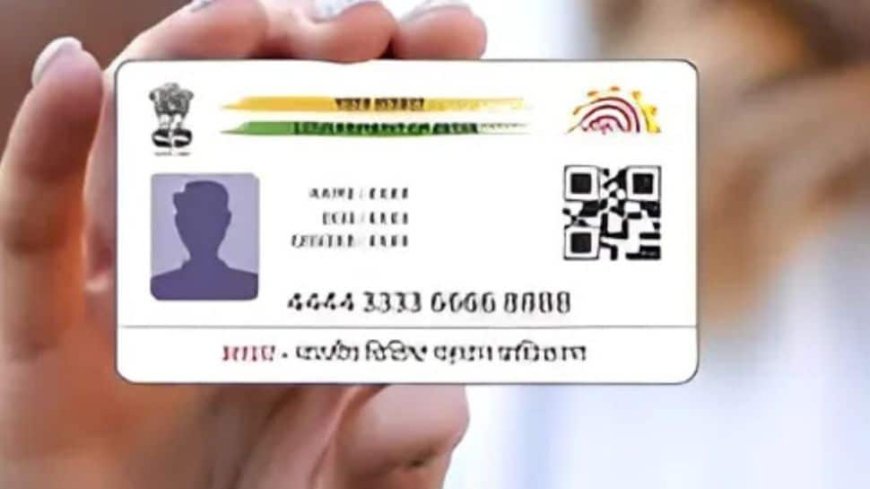 Over 138.34 Crore Aadhaar Numbers Generated, DigiLocker Crosses 37 Crore Users: Centre