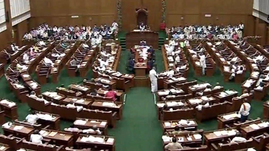 Rift In Karnataka BJP? Two MLAs Defy Party Decision Amid Waqf Debate