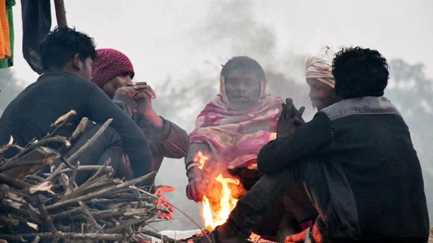 Chilly Winds Grip Punjab, Haryana: These Districts Remains Coldest With 1 degree Celsius